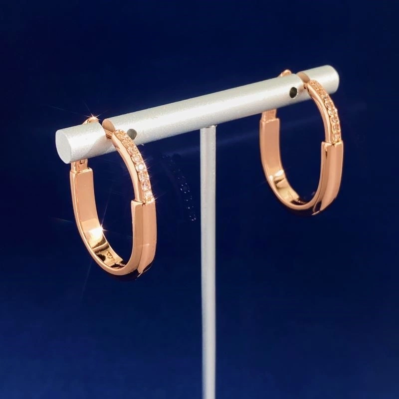 Tiffany Earrings Unisex 253204