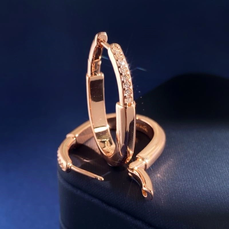 Tiffany Earrings Unisex 253204