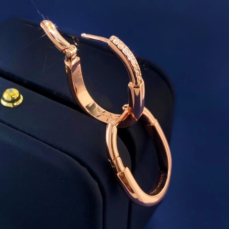 Tiffany Earrings Unisex 253204