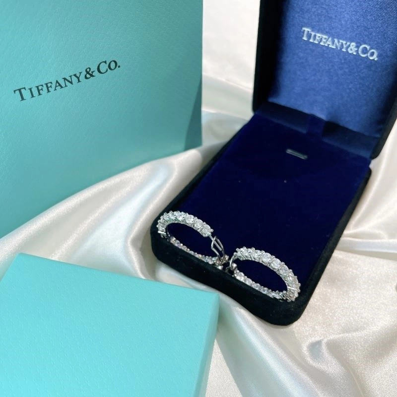 Upgraded Tiffany Earrings 253202