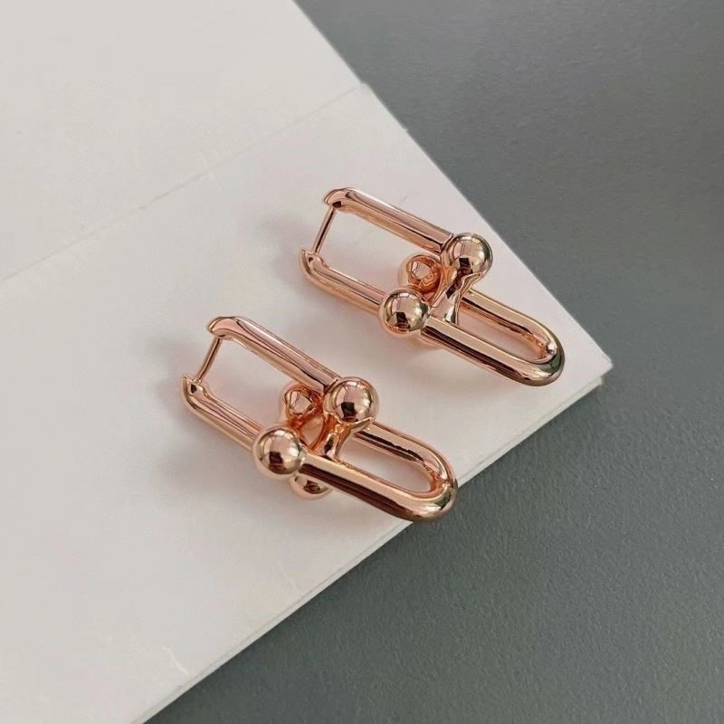 Tiffany Earrings Sleek 253200