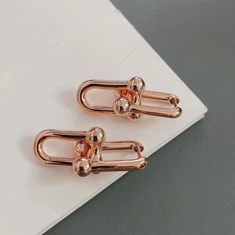 Tiffany Earrings Sleek 253200