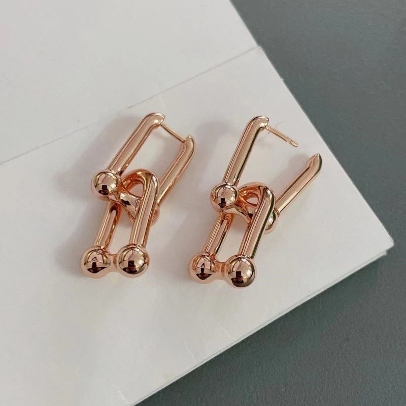 Tiffany Earrings Sleek 253200