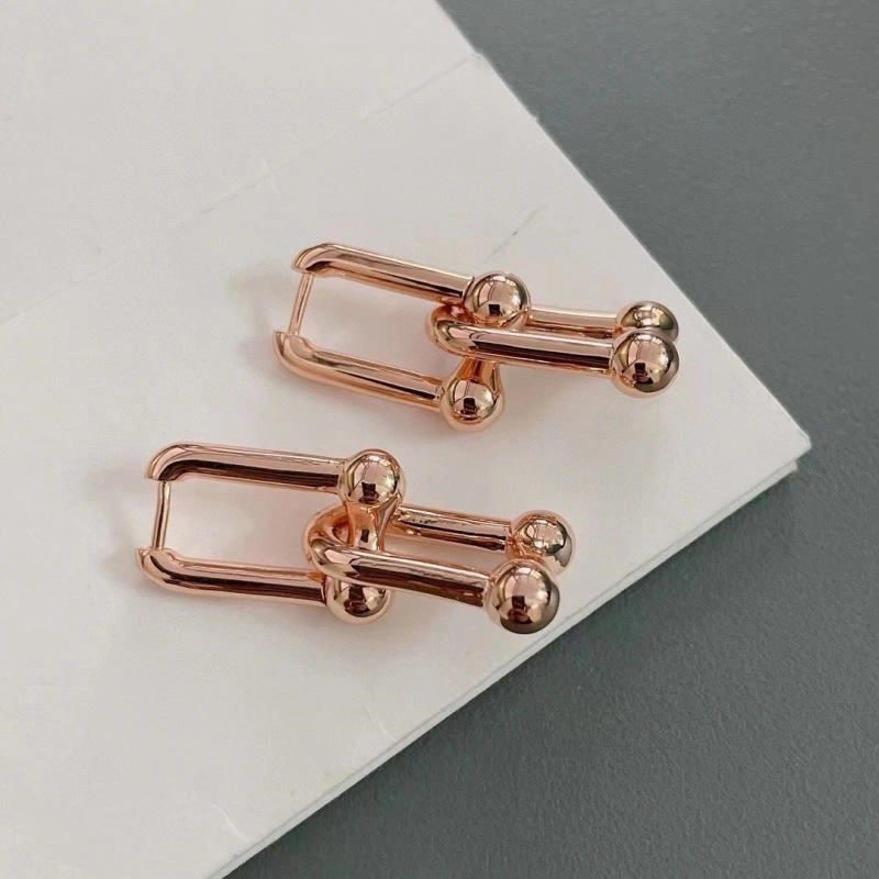 Tiffany Earrings Sleek 253200