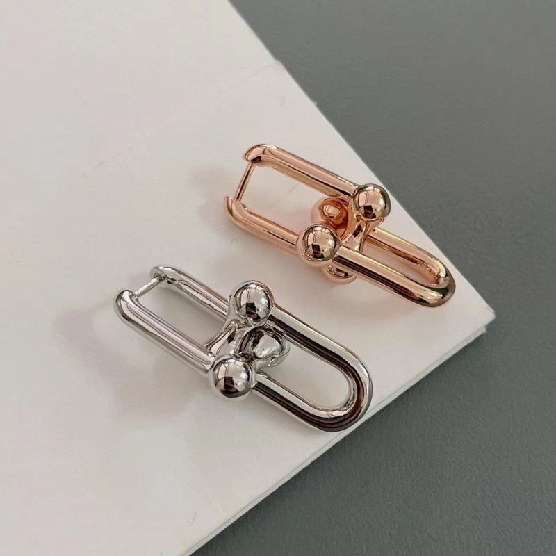 Tiffany Earrings Sleek 253200