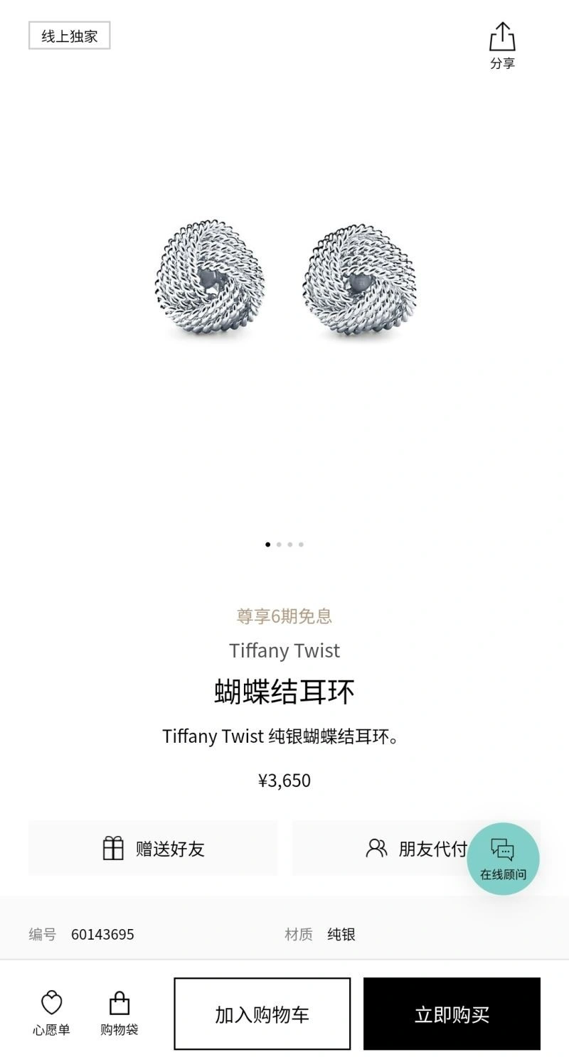 Tiffany Earrings EasyCare 253172