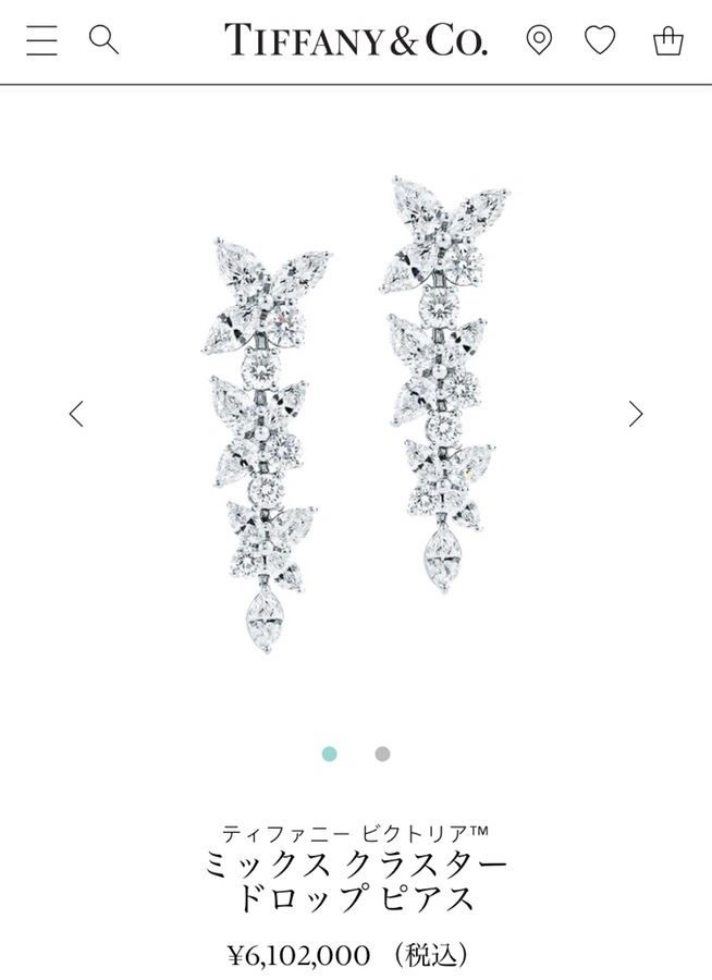 Tiffany Earrings TravelReady 253177