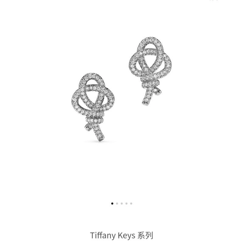 Tiffany Earrings Minimalist 253169