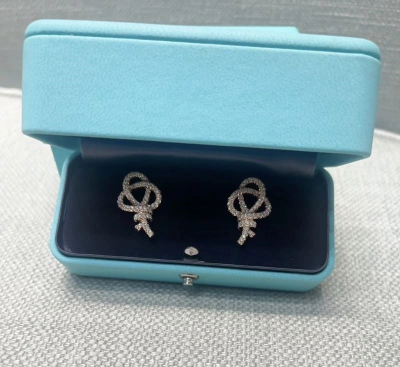 Tiffany Earrings Minimalist 253169