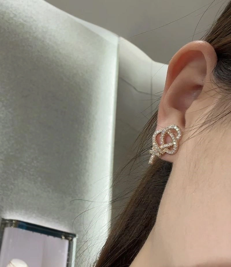 Tiffany Earrings Minimalist 253169