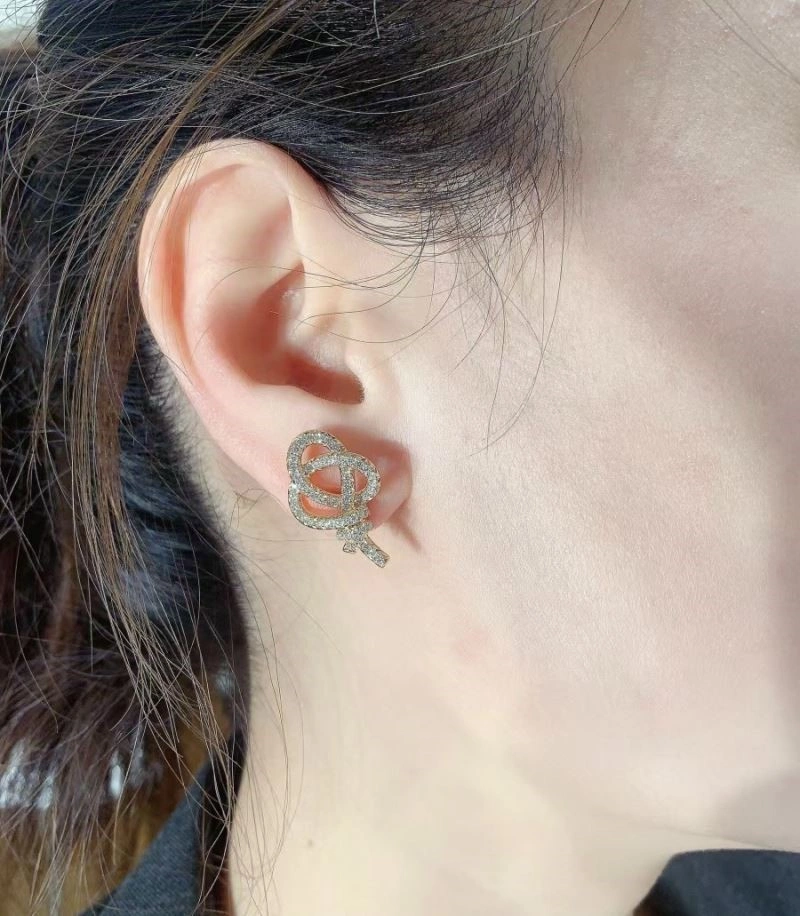 Tiffany Earrings Minimalist 253169