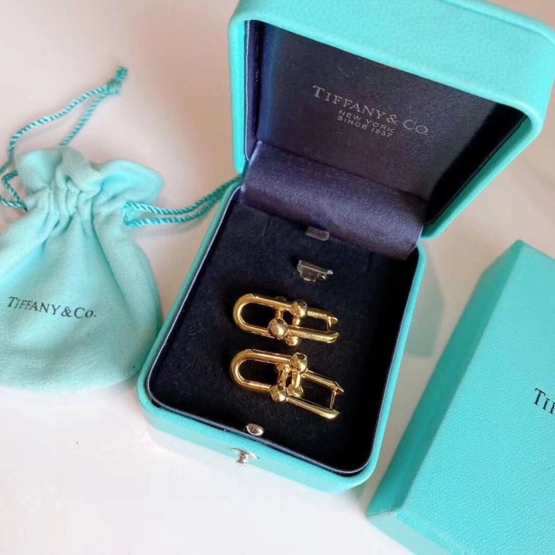 Tiffany Earrings Minimalist 253175