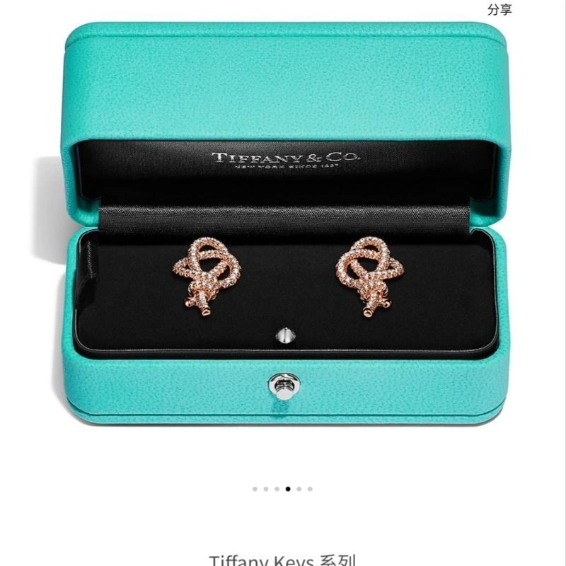 Tiffany Earrings UrbanStyle 253178