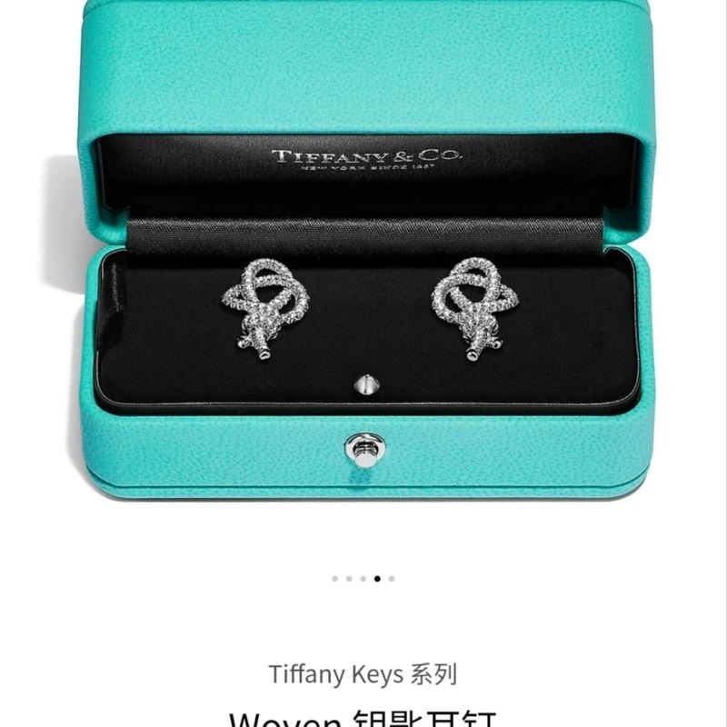Tiffany Earrings UrbanStyle 253178