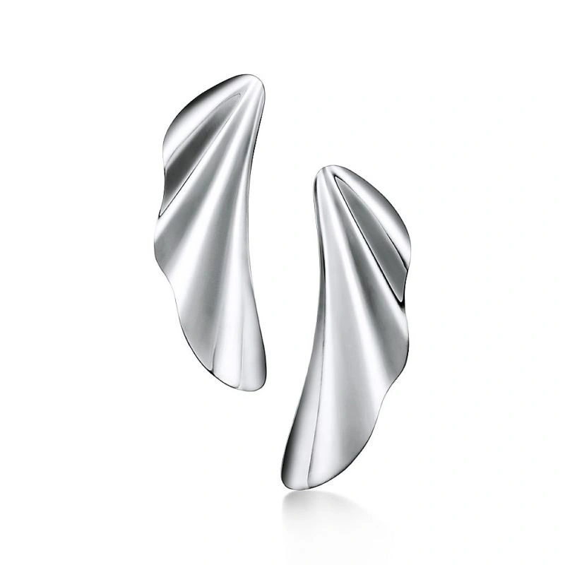 EyeCatching Tiffany Earrings 253179