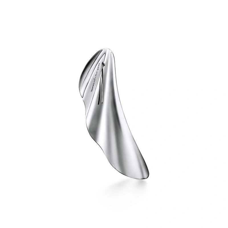 EyeCatching Tiffany Earrings 253179