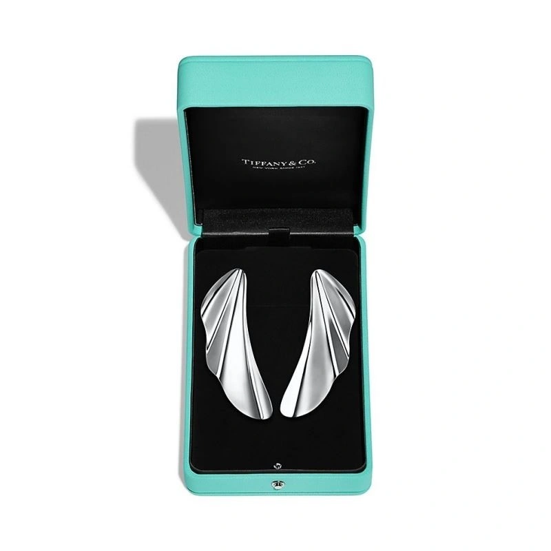 EyeCatching Tiffany Earrings 253179