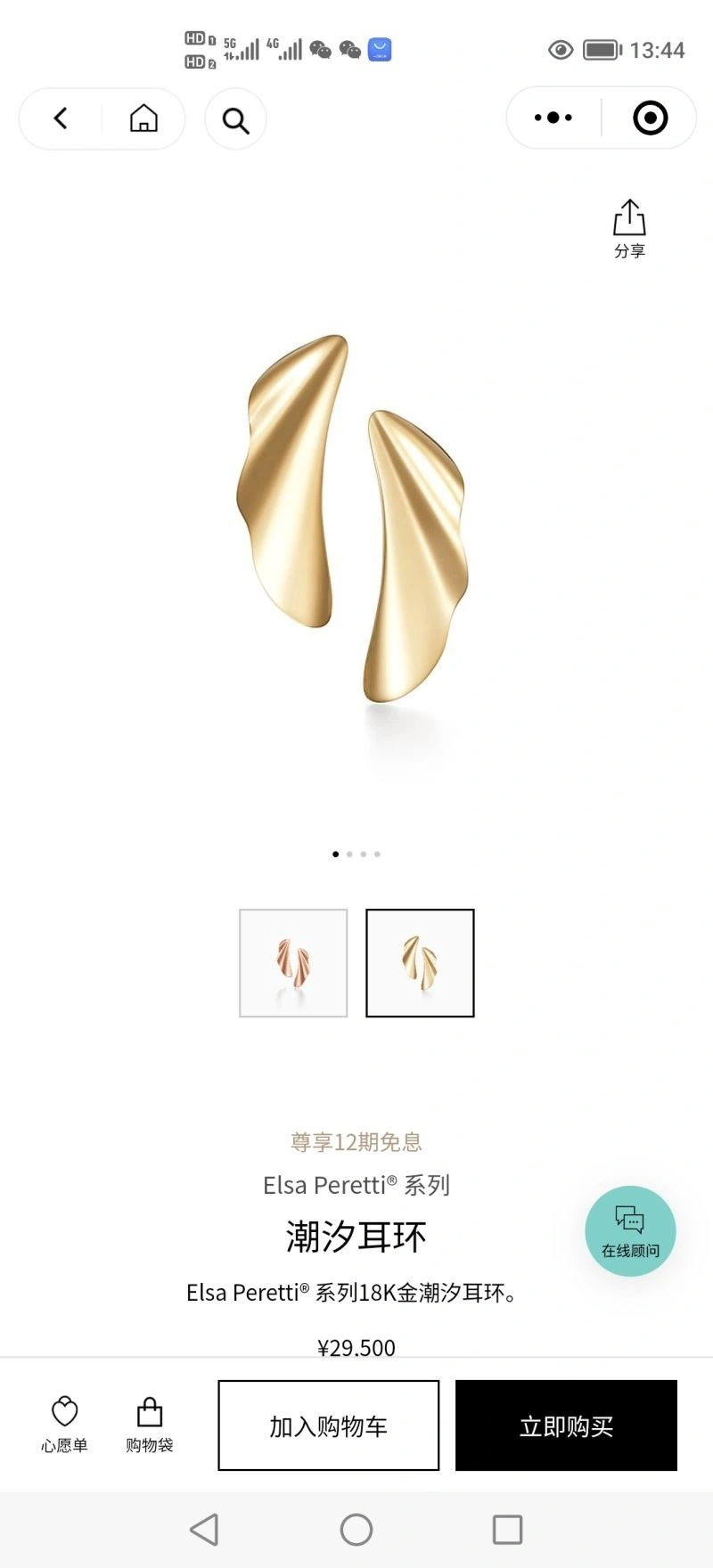 Tiffany Earrings Supportive 253193
