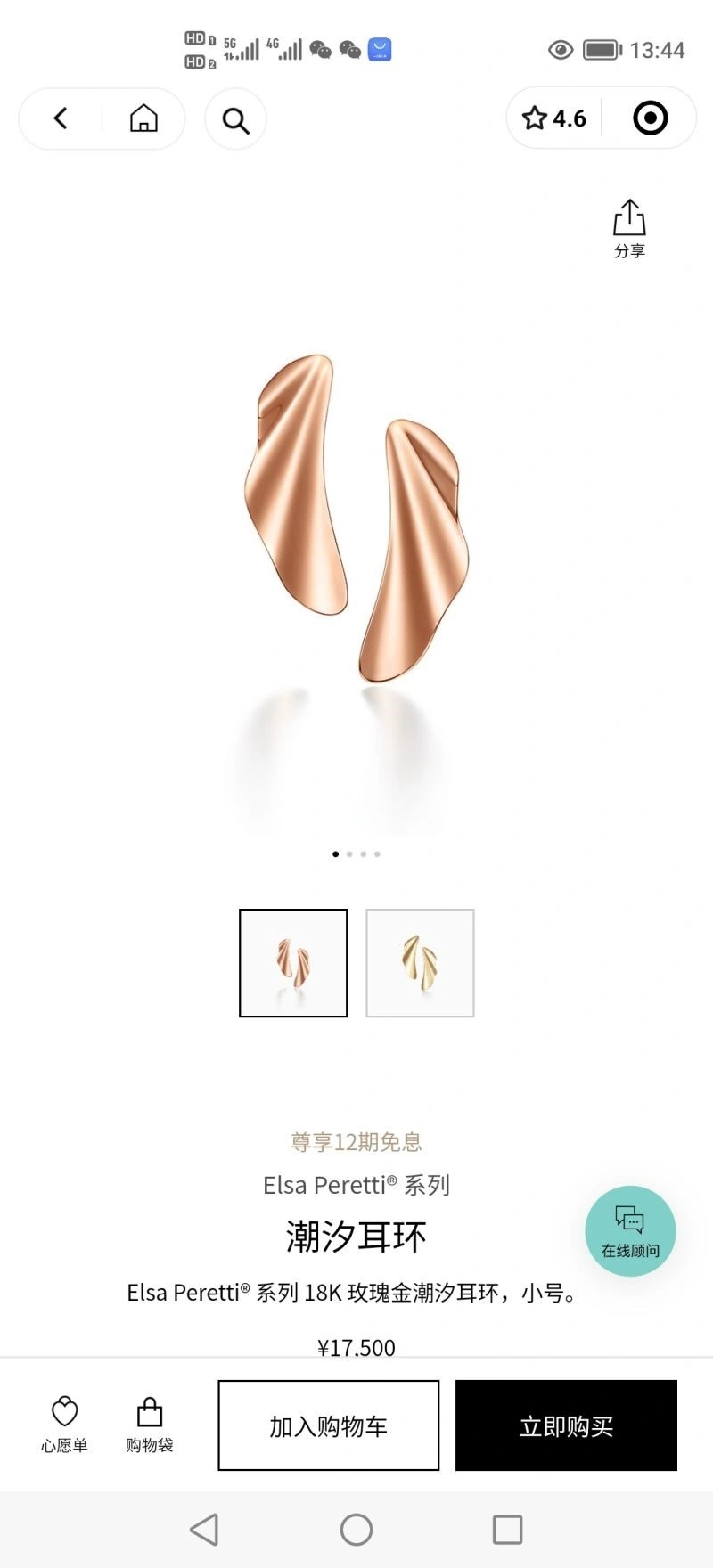 Tiffany Earrings Supportive 253193