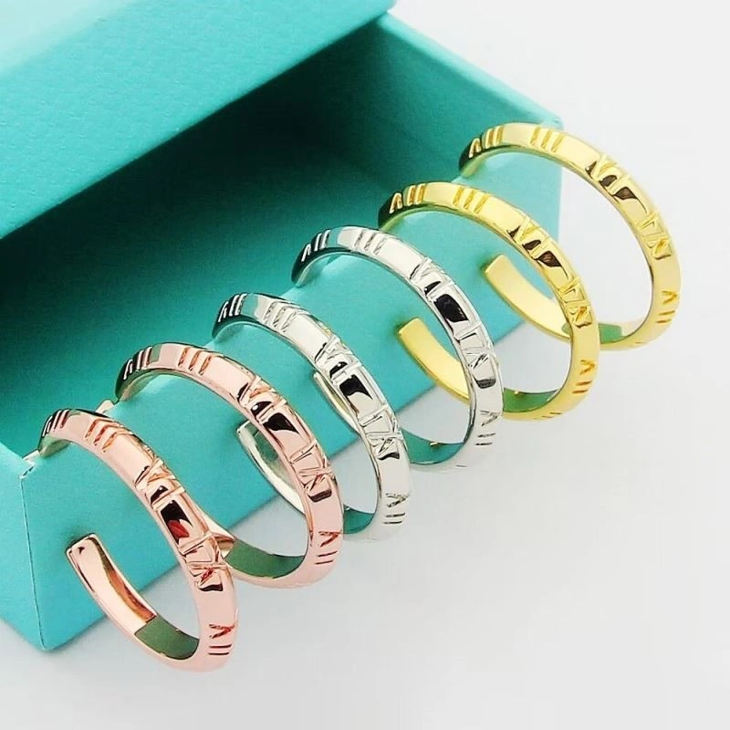 Tiffany Earrings FlexibleFit 253186