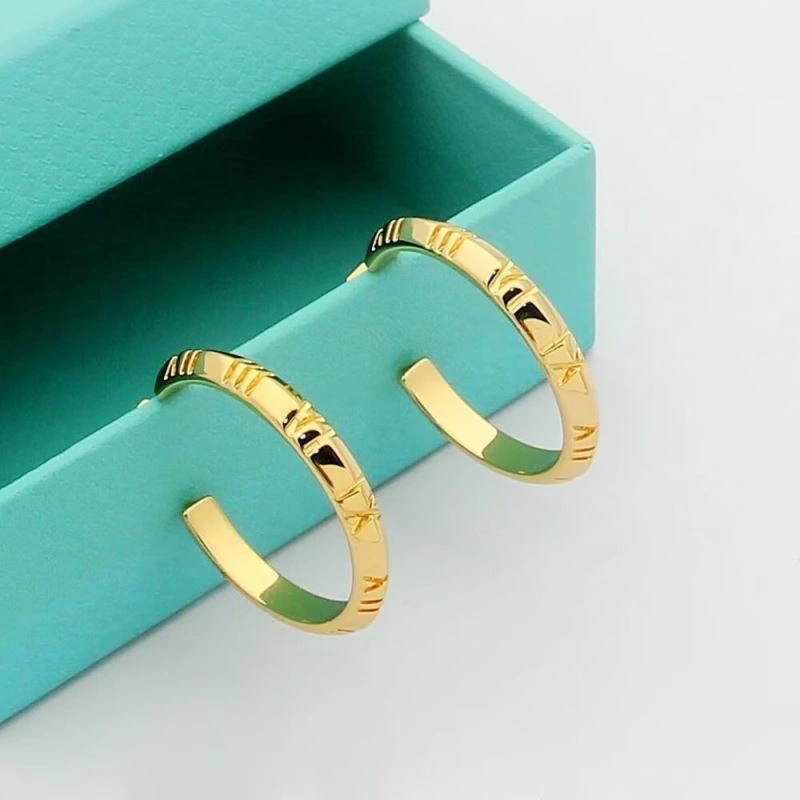 Tiffany Earrings FlexibleFit 253186