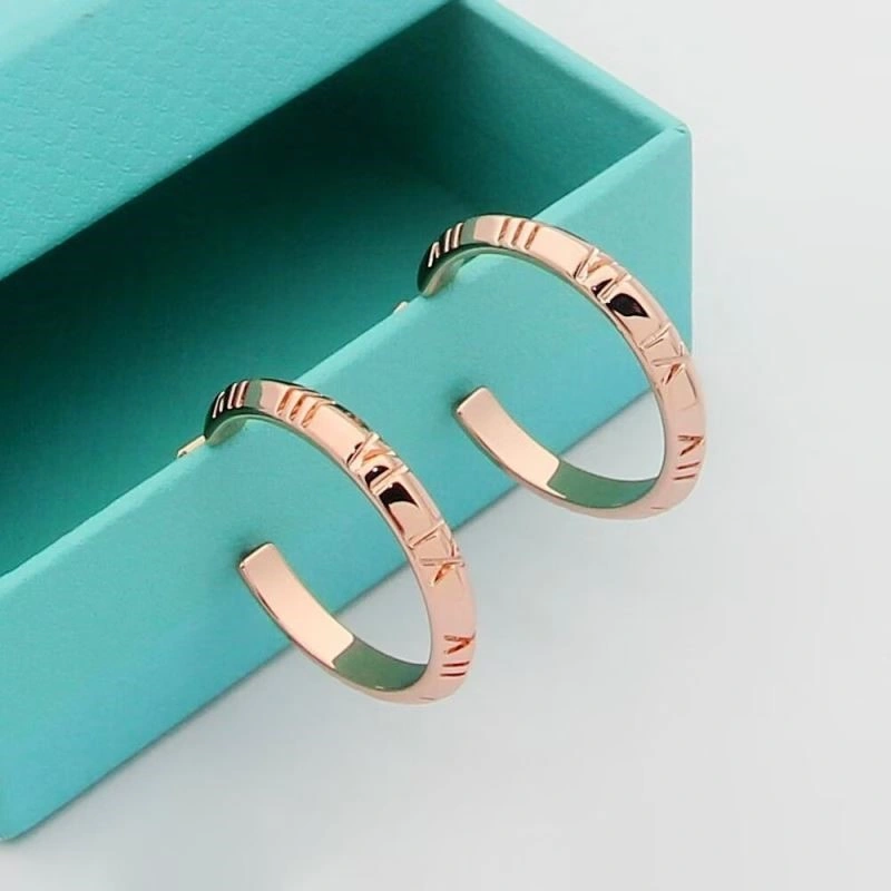 Tiffany Earrings FlexibleFit 253186