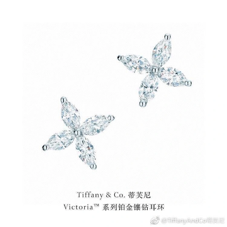 Compact Tiffany Earrings 253176