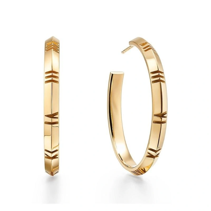 Affordable Tiffany Earrings 253184