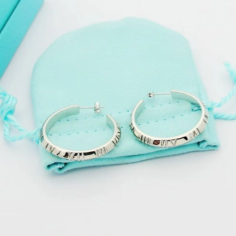 Affordable Tiffany Earrings 253184
