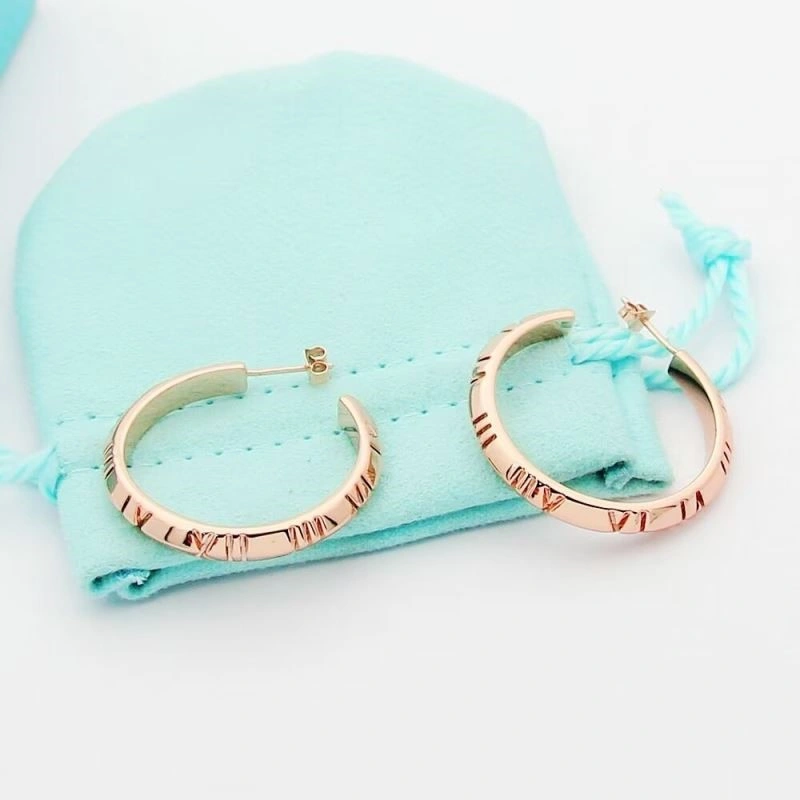 Affordable Tiffany Earrings 253184