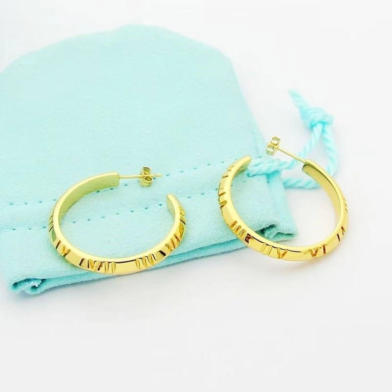 Affordable Tiffany Earrings 253184