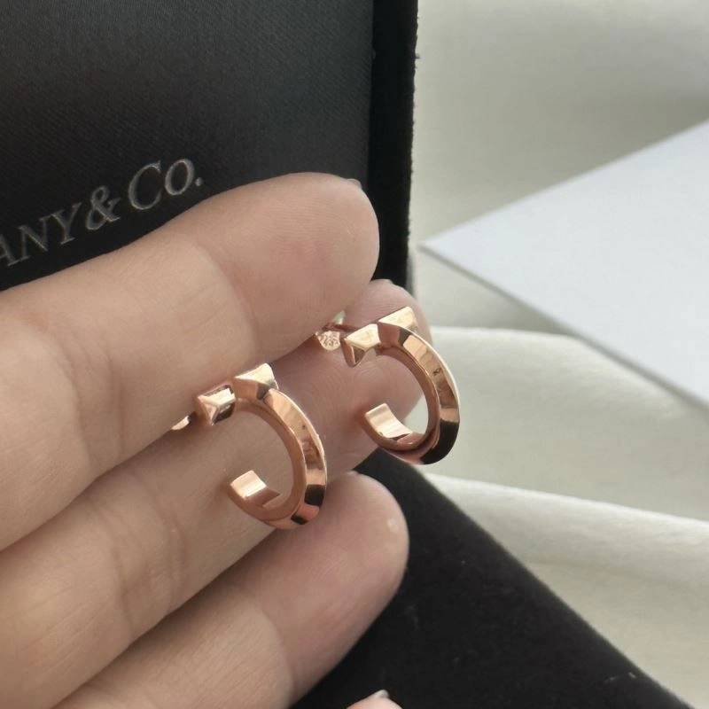 HighQuality Tiffany Earrings 253164
