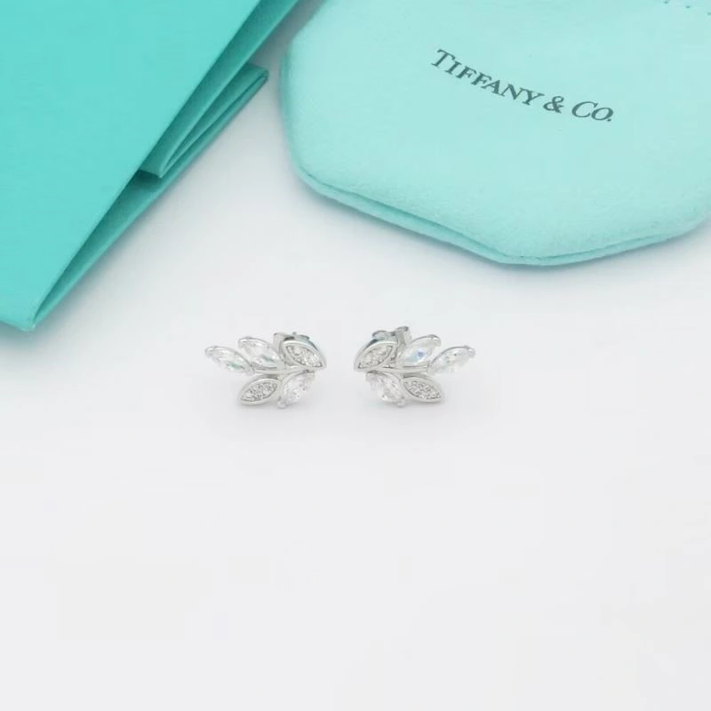 Sporty Tiffany Earrings 253162