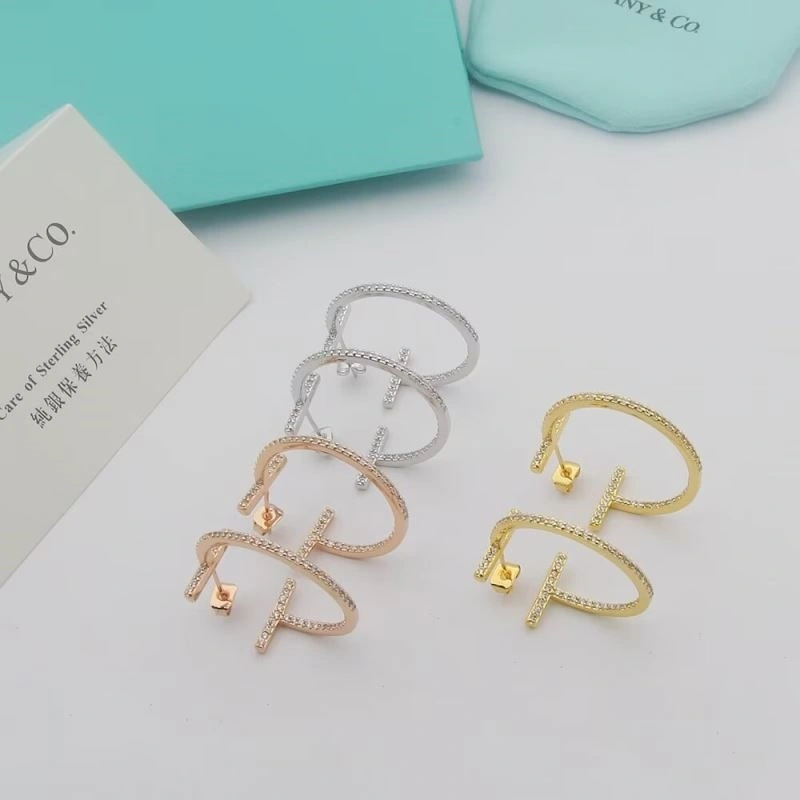 Tiffany Earrings Classic 253159