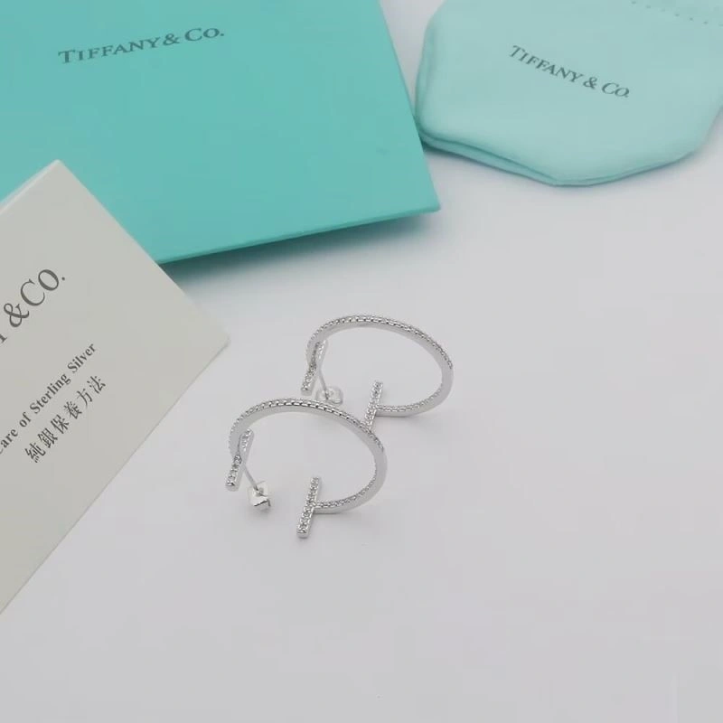 Tiffany Earrings Classic 253159