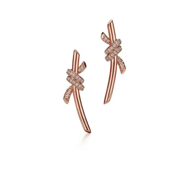 Tiffany Earrings DailyWear 253143