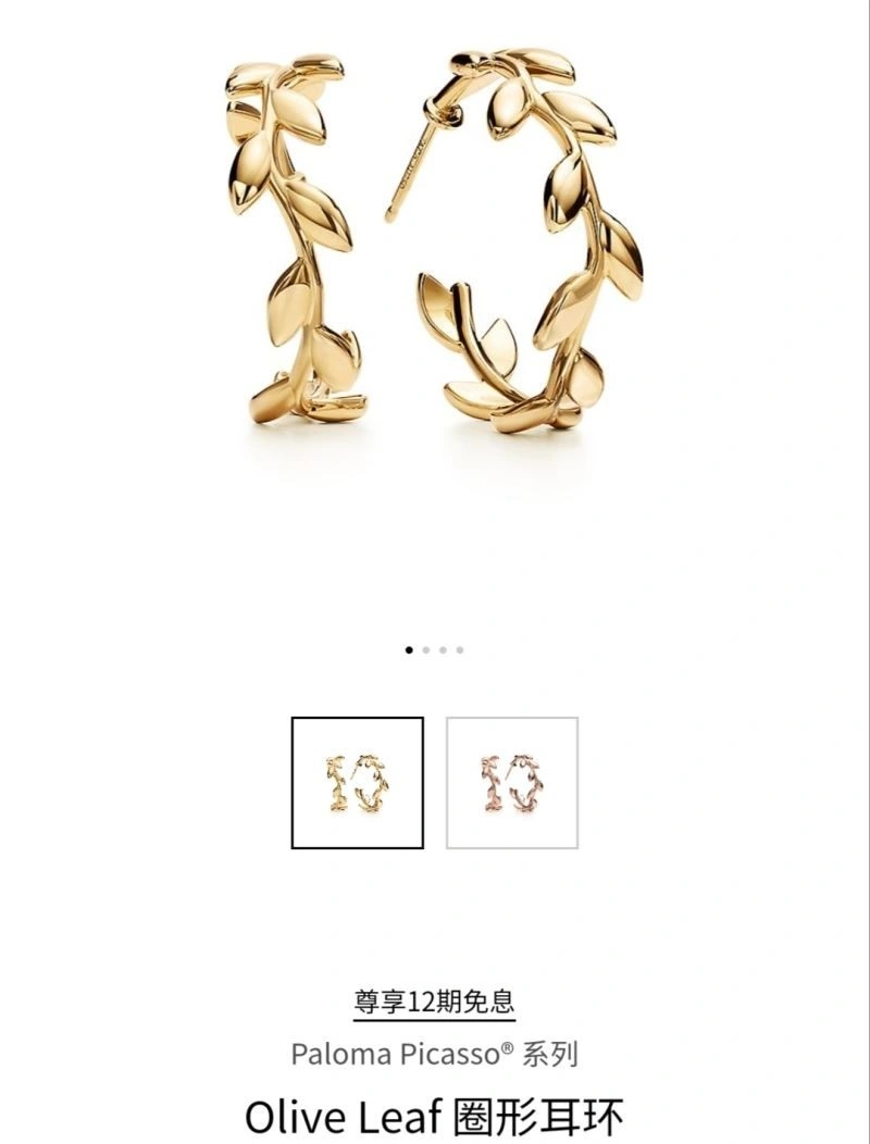 Tiffany Earrings WrinkleFree 253154