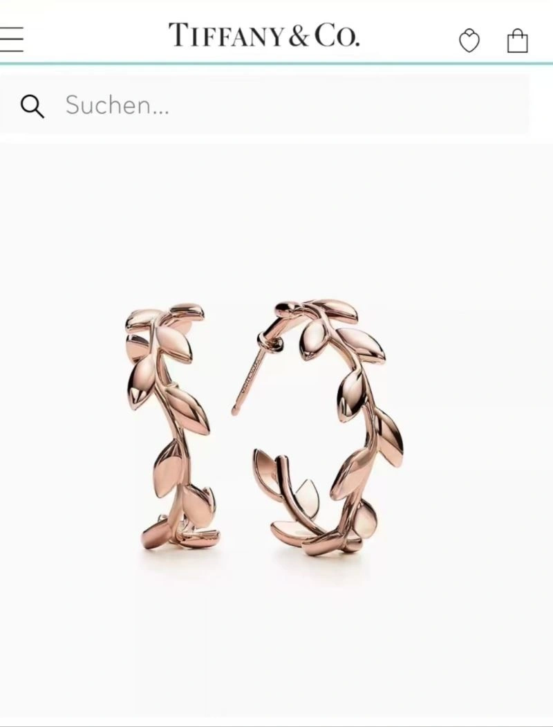 Tiffany Earrings WrinkleFree 253154