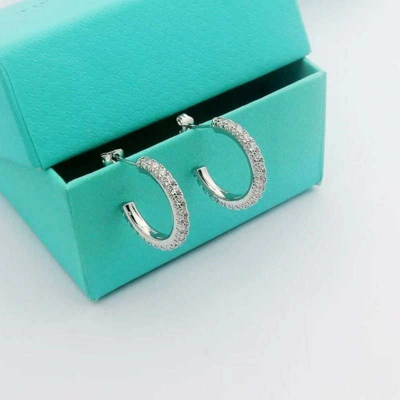Tiffany Earrings Original 253140