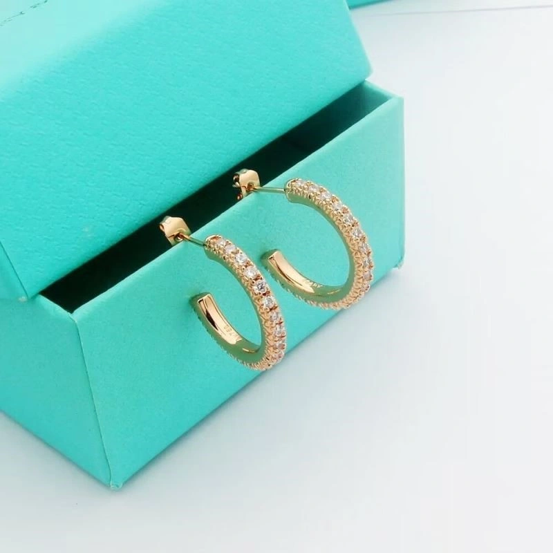 Tiffany Earrings Original 253140