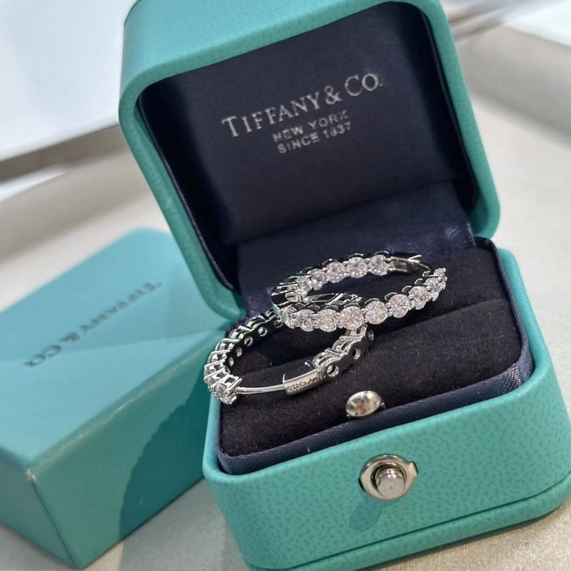 AllSeason Tiffany Earrings 253126