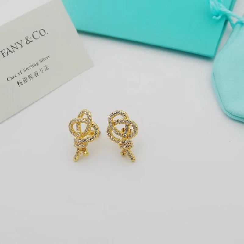Tiffany Earrings Upgraded 253158