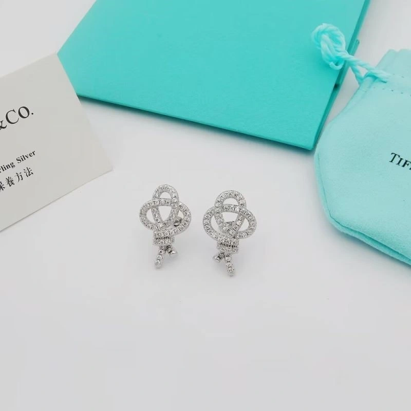 Tiffany Earrings Upgraded 253158