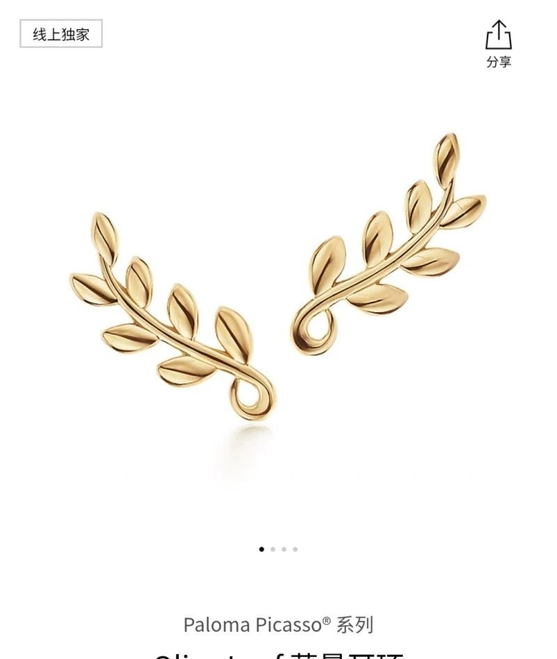 TechFriendly Tiffany Earrings 253151
