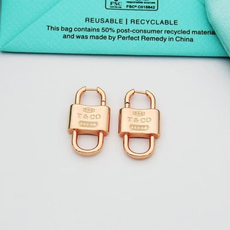 Tiffany Earrings Durable 253153