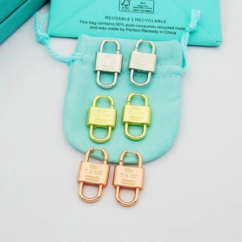 Tiffany Earrings Durable 253153