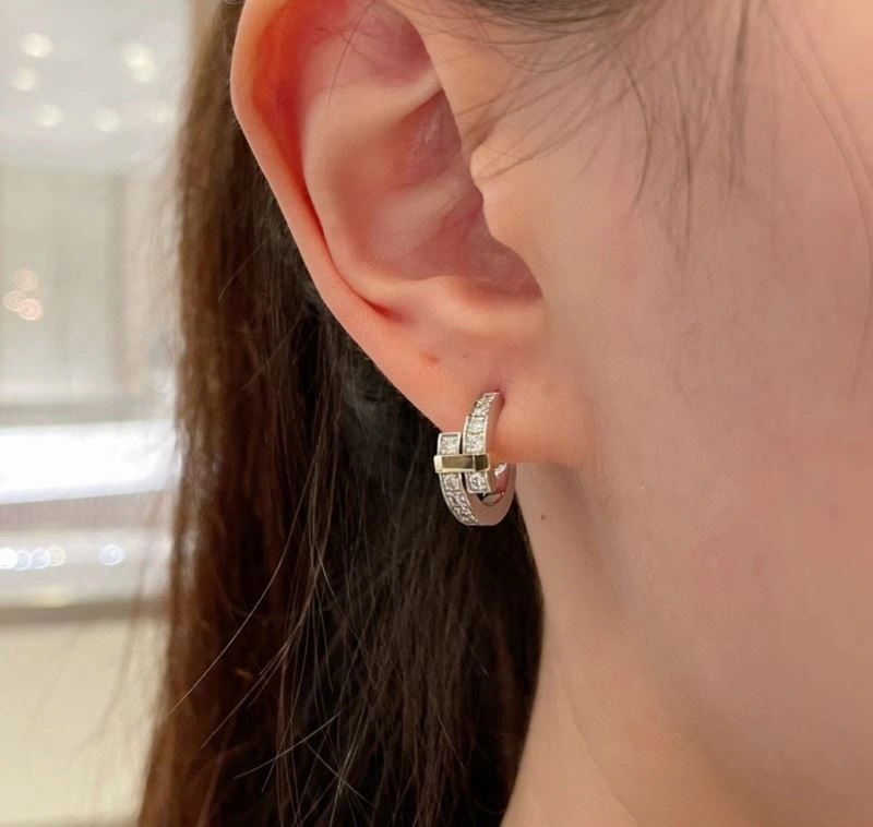 Tiffany Earrings Vibrant 253127