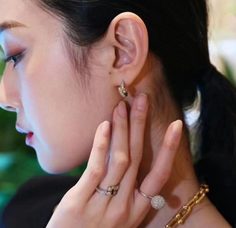 Tiffany Earrings Vibrant 253127