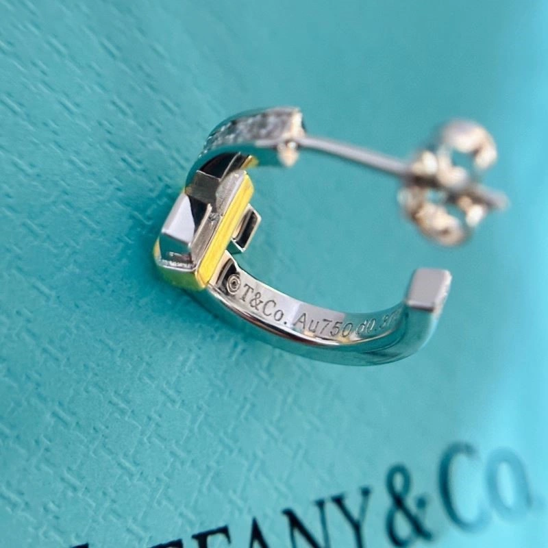 Tiffany Earrings Vibrant 253127