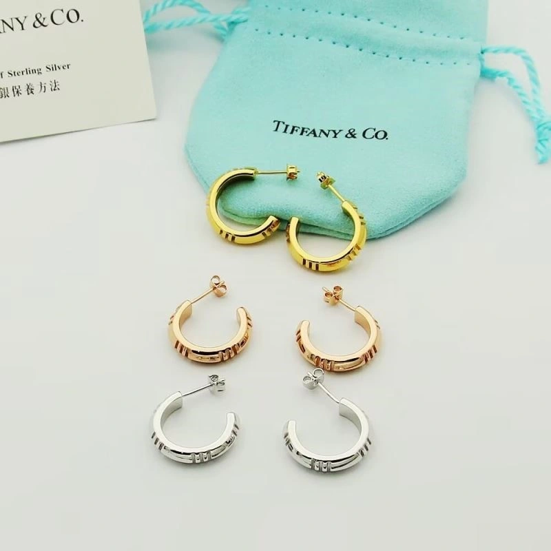 Tiffany Earrings SmoothTexture 253129